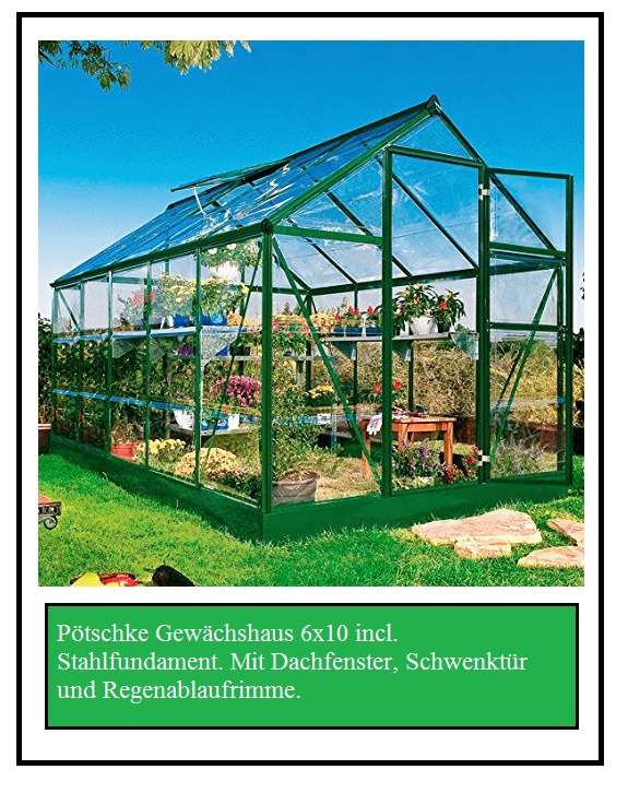 Gewächshaus Treibhaus